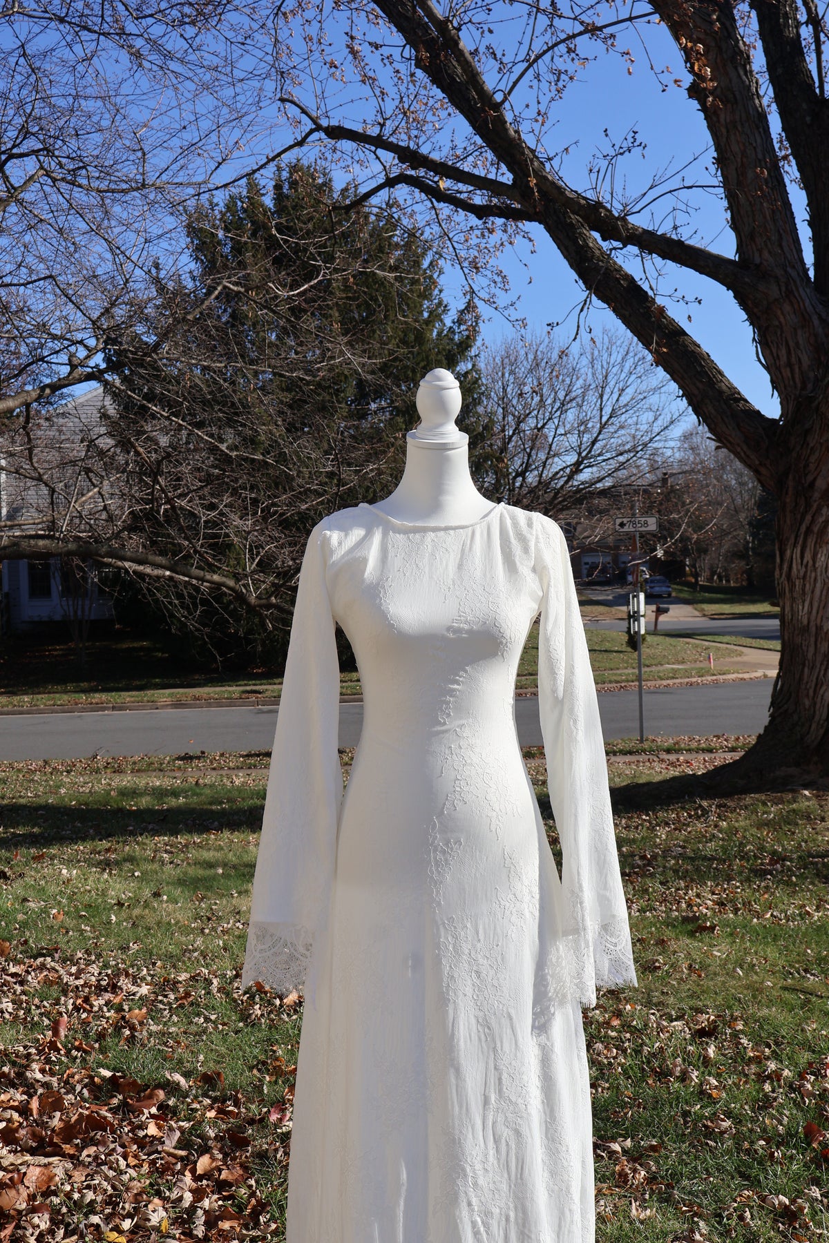 Lily Lace Dress