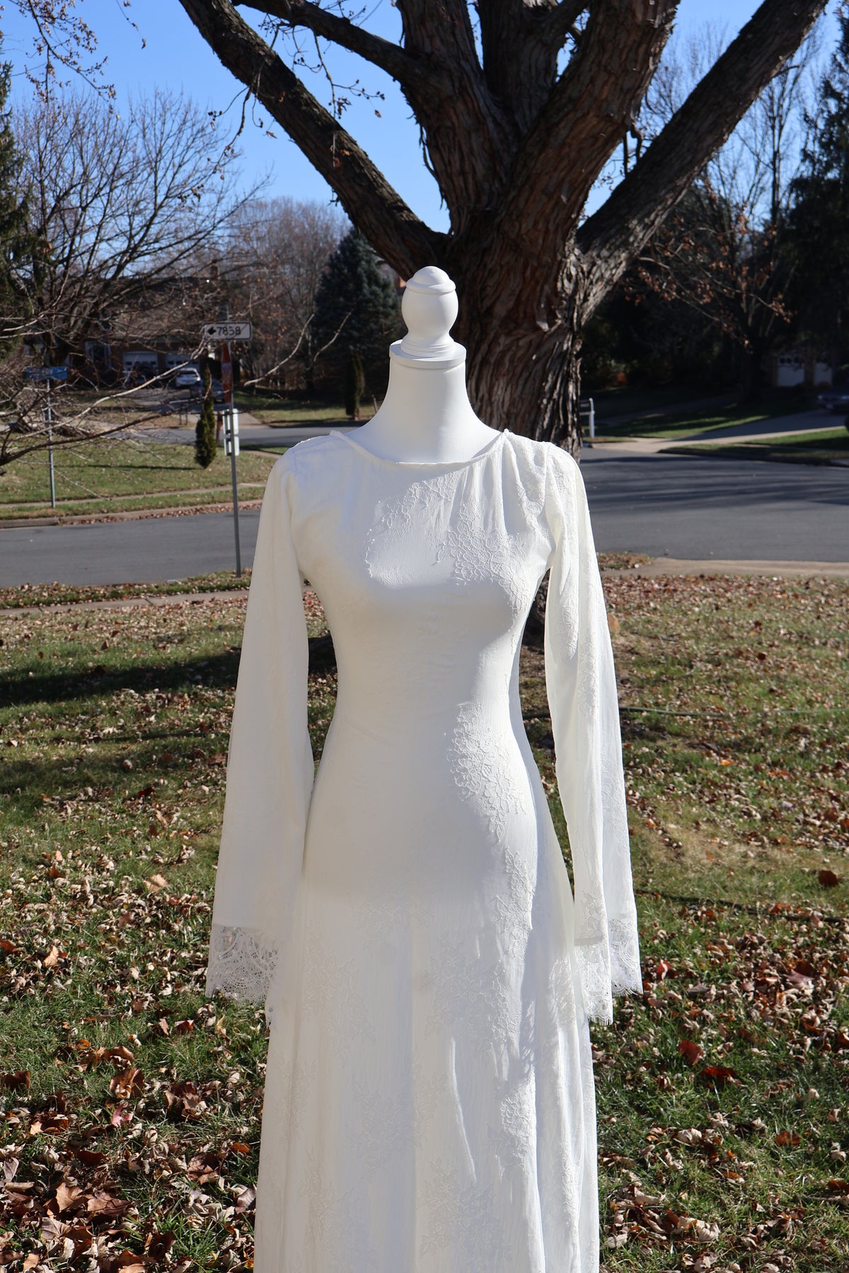 Lily Lace Dress