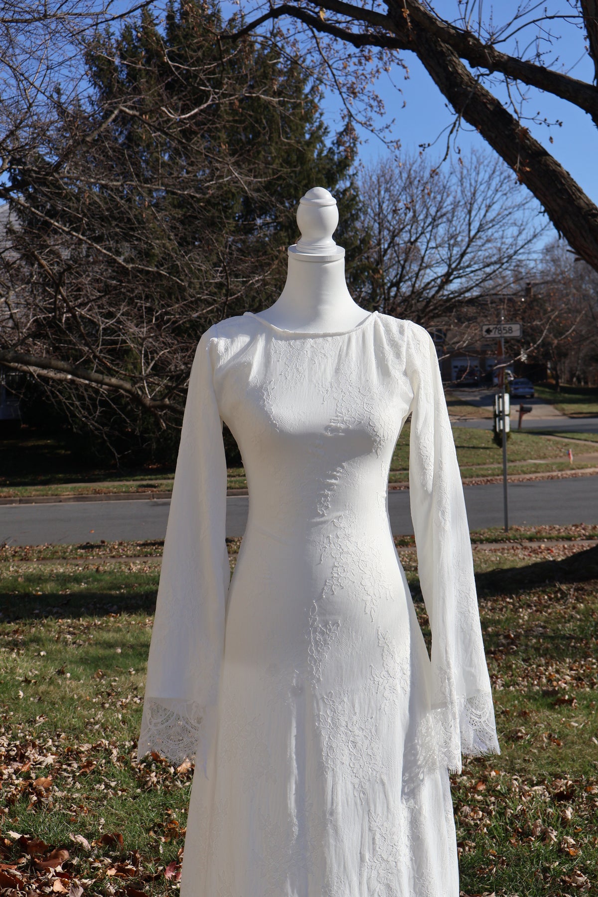 Lily Lace Dress